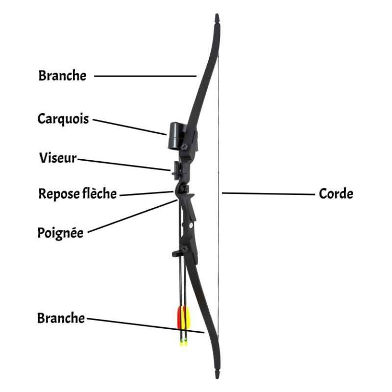 Comment Débuter Le Tir à Larc Conseils Archerie 6613